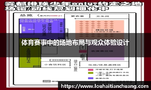 体育赛事中的场地布局与观众体验设计